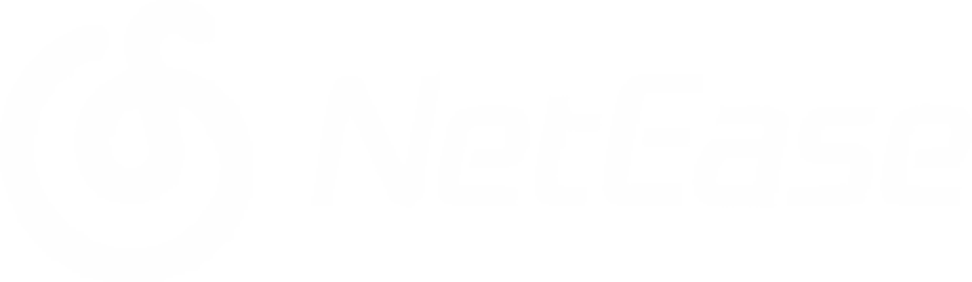 Logo NetEase blanco